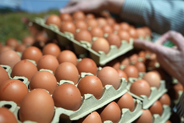 How Much Protein Do You Actually Need