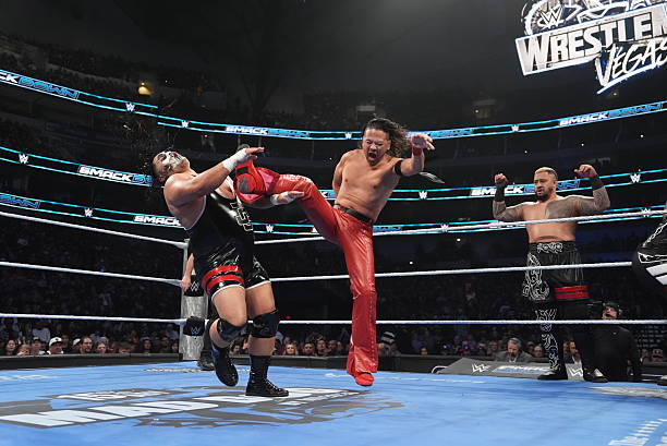 Professional Wrestling